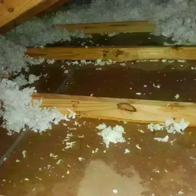 Attic Water Damage in Watertown, SD