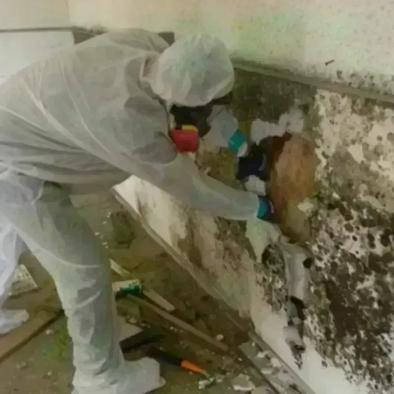 Mold Remediation and Removal in Watertown, SD