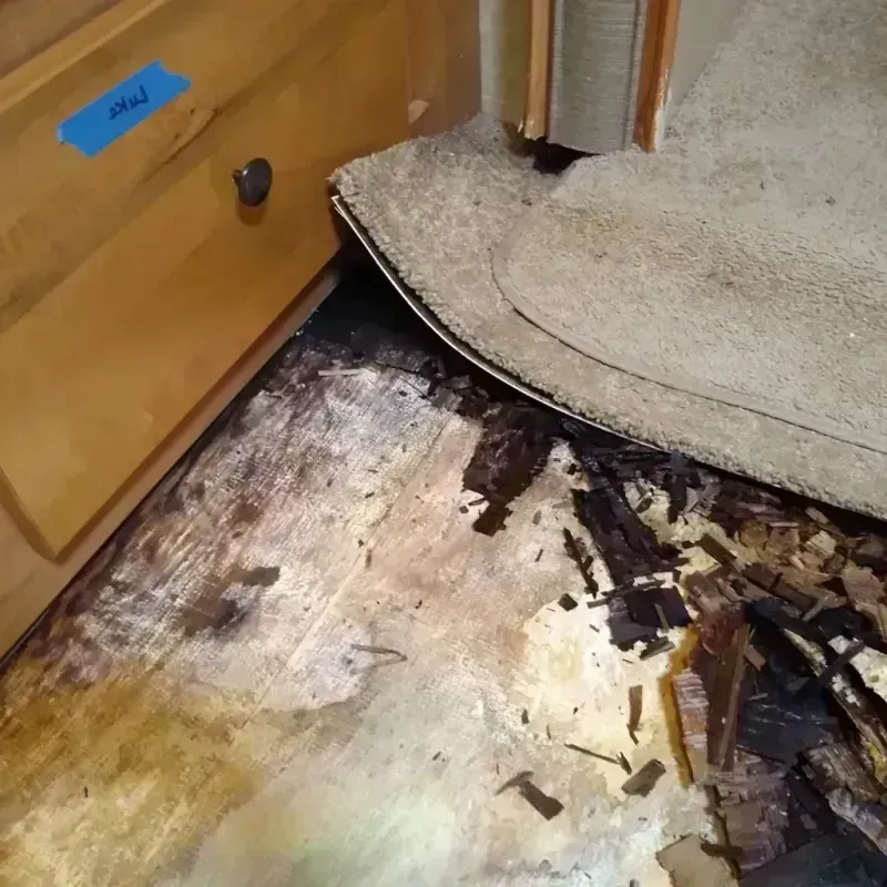 Wood Floor Water Damage in Watertown, SD